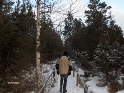 27.12.2008 Winterwanderung