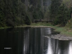 20110501Maiwanderung