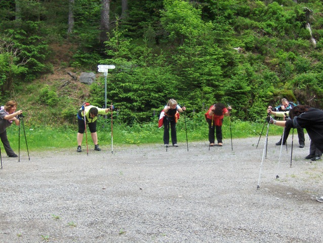 Nordicwalking20100603
