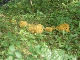 20100902Ferienprogramm