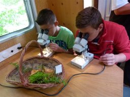 20140910Ferienprogramm2014