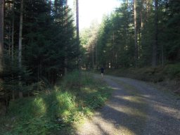 20150927Halbmarathon2015