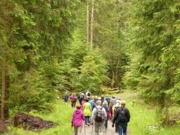 20160619WanderbaresNagoldtal