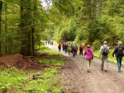 20160619WanderbaresNagoldtal