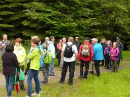 20160619WanderbaresNagoldtal