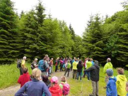 20160619WanderbaresNagoldtal