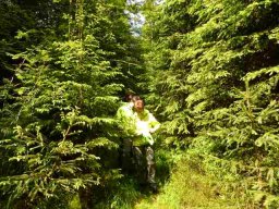 20160619WanderbaresNagoldtal