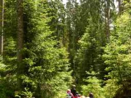 20160619WanderbaresNagoldtal